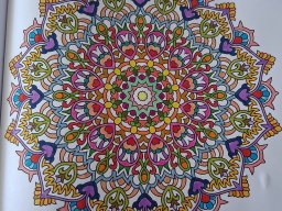 whatsapp bild 2025-04-03 um 10.59.40_e2823125